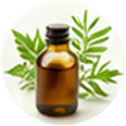 Tea Tree Oil